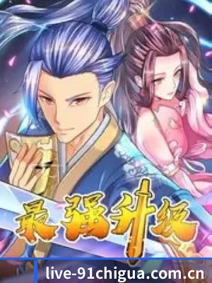功能完善